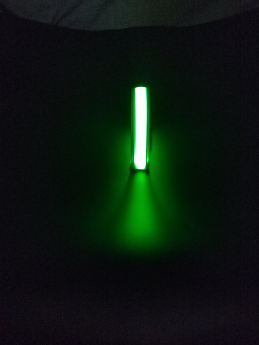 Flash LED Light Band