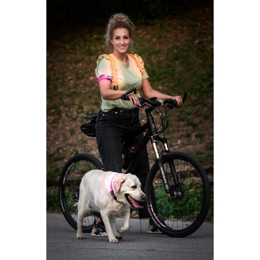 Flash LED Light Band SLN009