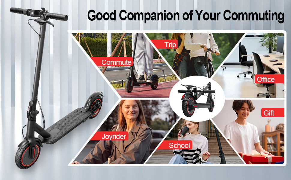 E365W Electric Scooter